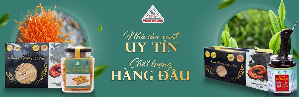 phân phối sâm ngọc linh chính hãng