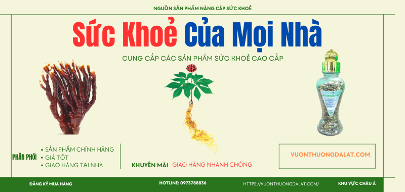 Sản phẩm phục hồi sức khoẻ