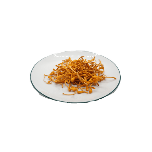 phân phối đông trùng hạ thảo sấy